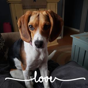 Meet your Posher, Jody